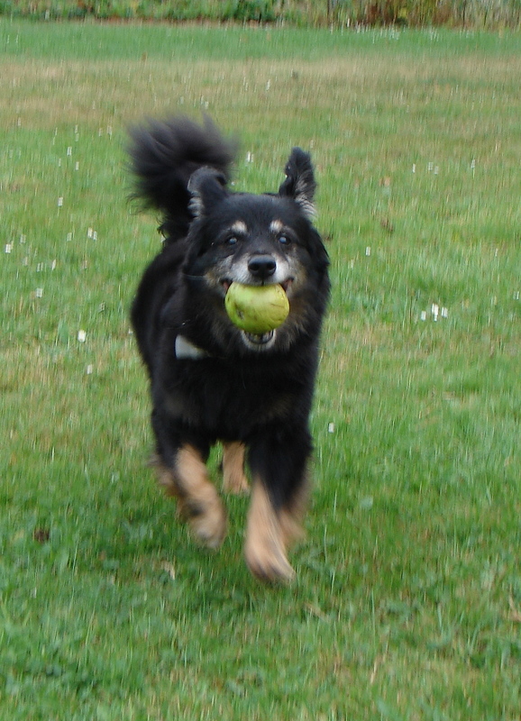 DSC07676.JPG